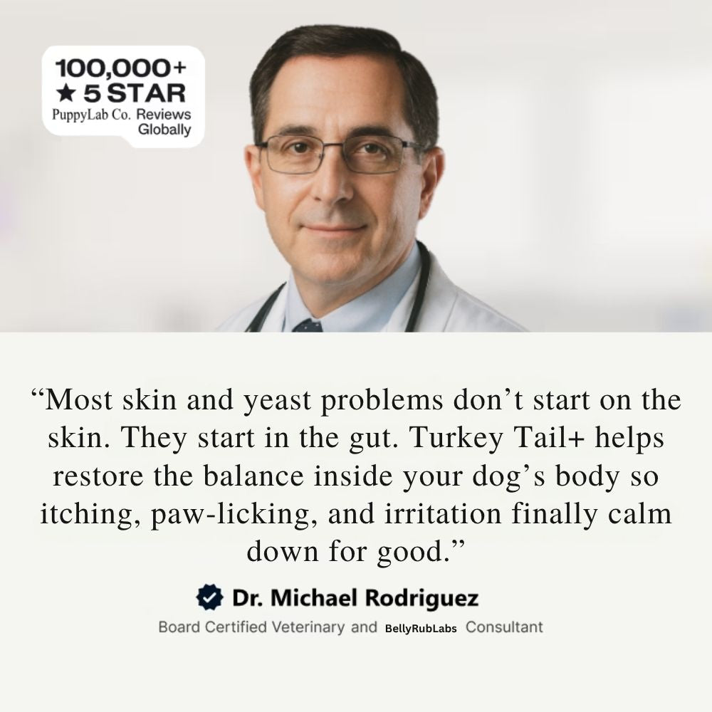 TurkeyTail+ | Probiotics Inner Balance System™