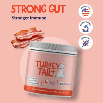 Turkey Tail+ | Bacon Flavor