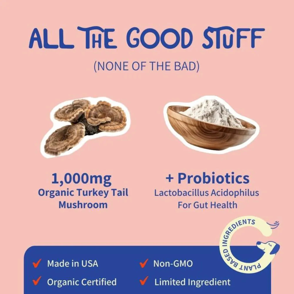 Turkey Tail+ | Bacon Flavor