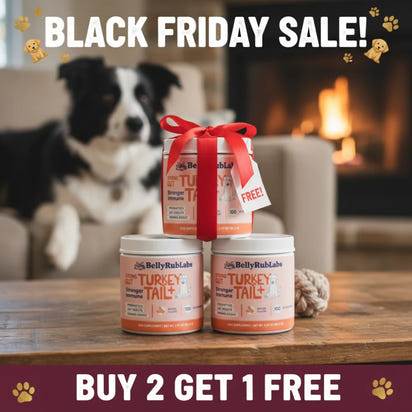 Turkey Tail+ | Bacon Flavor