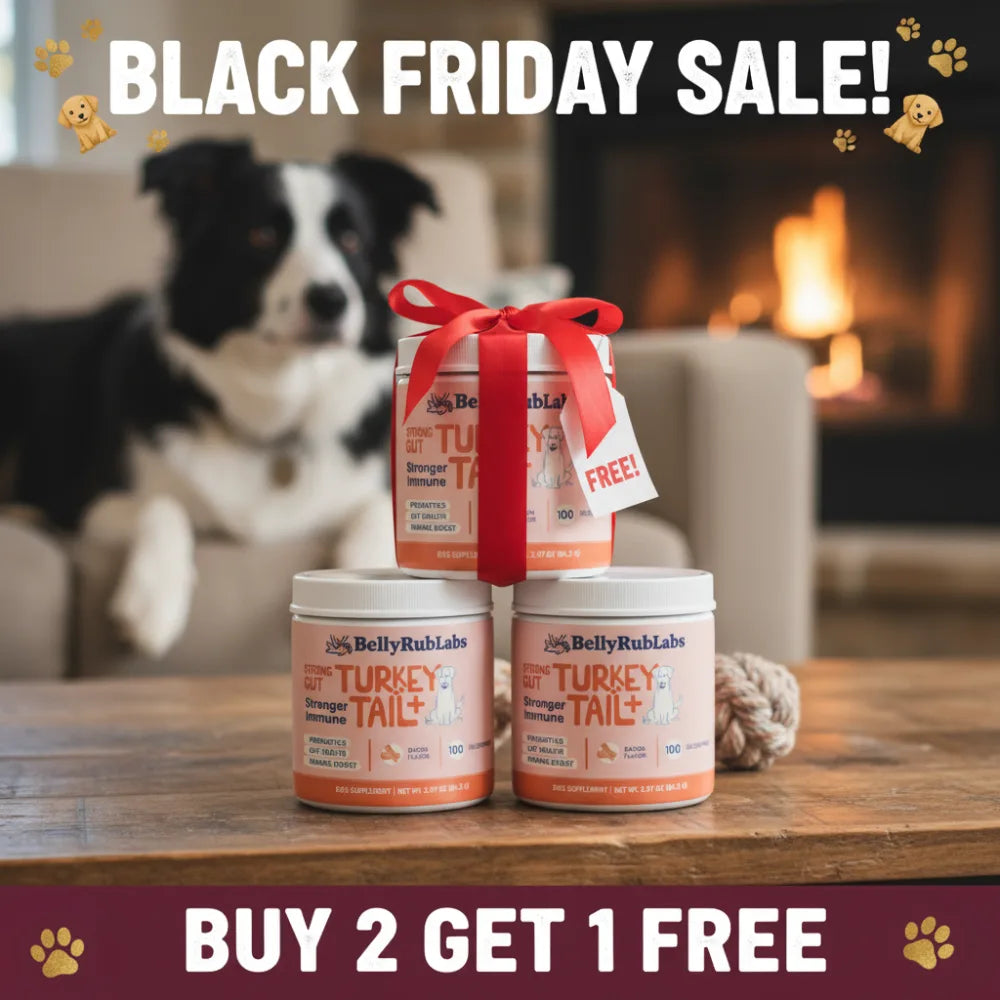 Turkey Tail+ | Bacon Flavor