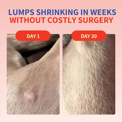 Turkey Tail+ | Bacon Flavor