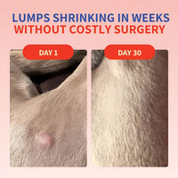 Turkey Tail+ | Bacon Flavor