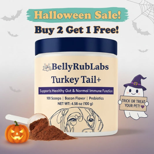 TurkeyTail+ | Probiotics Inner Balance System™