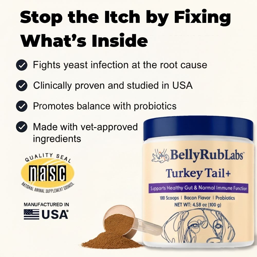 TurkeyTail+ | Probiotics Inner Balance System™